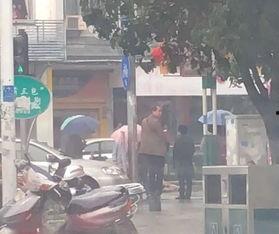 中山車禍最新爆料視頻播放,視頻揭示驚人細節,事故真相再引熱議